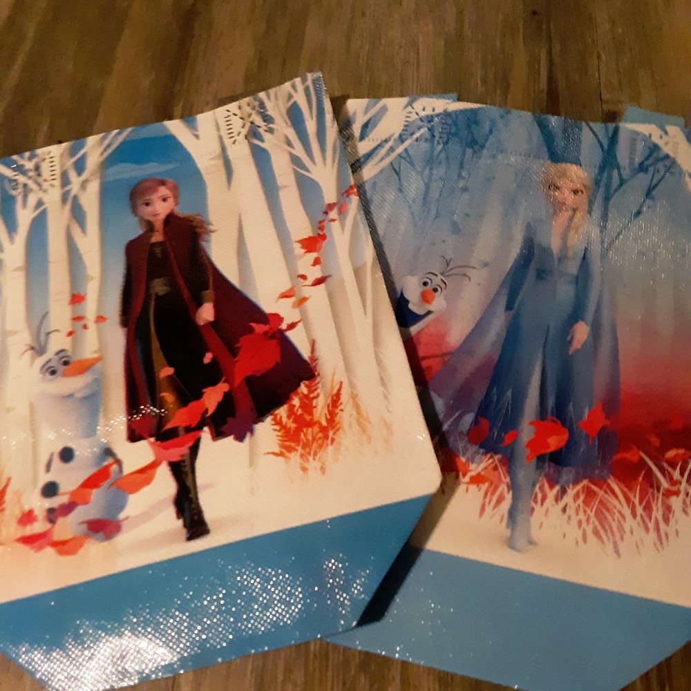 Frozen Bags set of 2
